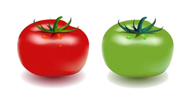 Vegetables